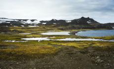 Изминалият ноември е най-горещият в историята