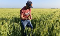 Световните стокови пазари в пет ключови графики