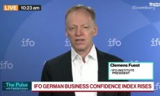 Фюст: Германските производители могат да преживеят 15% мита