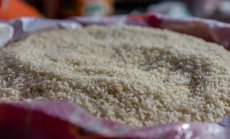 Индия тласка света към нова криза с ориза