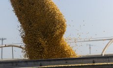 Пет важни графики за суровинния пазар през седмицата