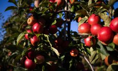 ЕС се движи по грешен път в земеделието