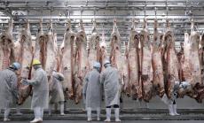 ЕК заплашва германската месна индустрия