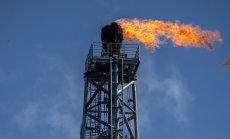 Петролът се стабилизира, стесняващите се спредове сочат към по-меки условия