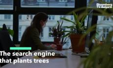 Как да засаждаме дървета докато търсим в интернет  