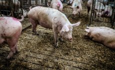 Дания налага първия въглероден данък на земеделците