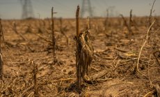 Унищожително засушаване се разпространява по целия свят