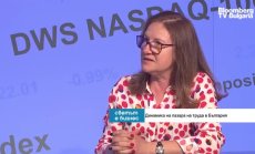 Само с внос на хора отвън ще запълним недостига на кадри у нас