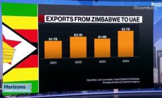 Как ОАЕ стана най-големия експортен партньор на Зимбабве