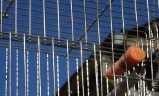 Няма учебник по борба с корупцията