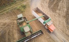 Китай купува голямо количество чуждo зърно при спад на световните цени