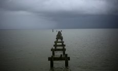 Най-важните избори за 2024 г., за които не сте и чували