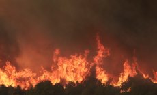 Пожарите у нас не са просто бедствия, а отразяват системен проблем