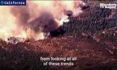 Дронове спасяват гори