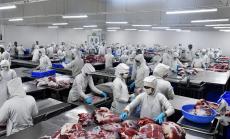 Има риск за срив в износа на свинско месо от Германия