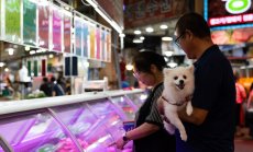 Малки промени в начина на живот могат да помогнат за намаляване на емисиите