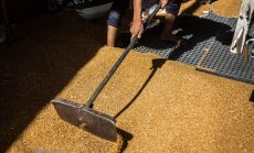 Светът рискува да загуби гигантската банка за семена в Украйна