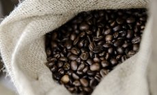 Кафето продължава да поскъпва до десетгодишен връх