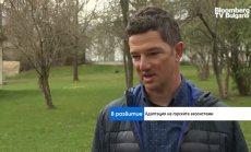 Макар в Европа да се увеличават, в световен мащаб горите намаляват с бързи темпове 