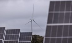 Европа между Зелената сделка и здравия разум