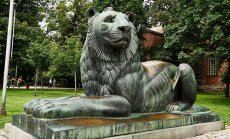 Изборният ден протича спокойно, но в ЦИК има сигнали за проблеми с машинния вот