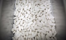 Novo Nordisk е засенчена от по-малък конкурент на датската фондова борса