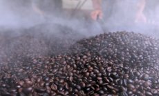 Цената на кафето Робуста рекордно ниска за последните два месеца