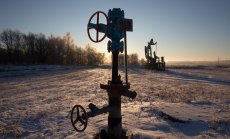 Какво очакват анализатори като ING и Eurasia за ситуацията в Украйна и петрола