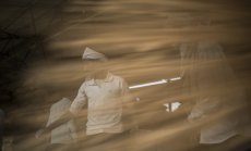 Индия може да компенсира част от глобалния недостиг на пшеница