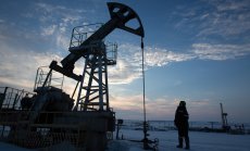 ОПЕК+ не се притеснява от внезапния спад на петрола... засега