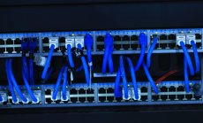 Нормално ли е фондовете за рисков капитал да покриват загуби при крипто измами