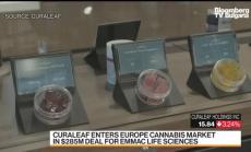 Германия може да легализира немедицинската марихуана след Меркел