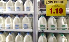 Производителите на мляко по света са изправени пред екзистенциална криза