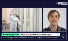 Какво са липидите и как помагат на ваксинационния процес