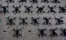 Лидери на ЕС ще обсъждат проекта за въздушен щит в Копенхаген