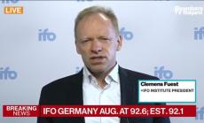 IFO: Икономическото възстановяване на Германия върви по план, част 2