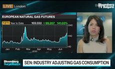 Сен: Петролът ще остане над $80