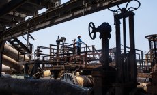 Спадът на търсенето ще помогне на Европа да оцелее без руски газ и догодина