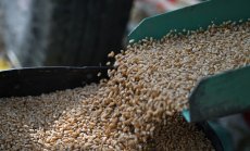 Пазарът на храни е в стабилно, динамично равновесие - с 6,1% среден спад на цените 