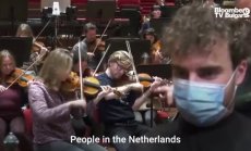 Нидерландски музеи се превръщат във фризьорски салони в знак на протест