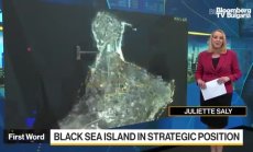 Зеленски приветства изтеглянето на Русия от Змийския остров