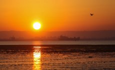 Кораб заседна за кратко в Суецкия канал, прекъсвайки търговския път