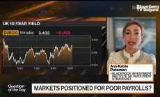 Петерсън от BlackRock: Фед няма да намалява лихвите тази година