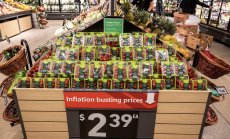 ОИСР предупреди централните банки, че е рано да празнуват победа над инфлацията