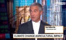 Teucrium вярва, че топлото време ще причини дислокация, част 1