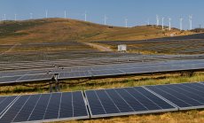 Зелената революция е жива и здрава - просто не и в САЩ