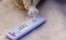 Коронавирусът у нас: Повече излекувани от заразени за последните 24 часа 