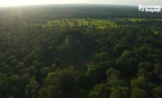 Как крадени статуи стигат до музеите, част 1