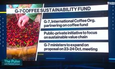 Андреа Или: Кафето трябва да излезе от регулацията за обезлесяването