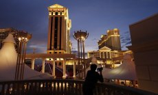 Казина, които показват пътя към опазването на околната среда